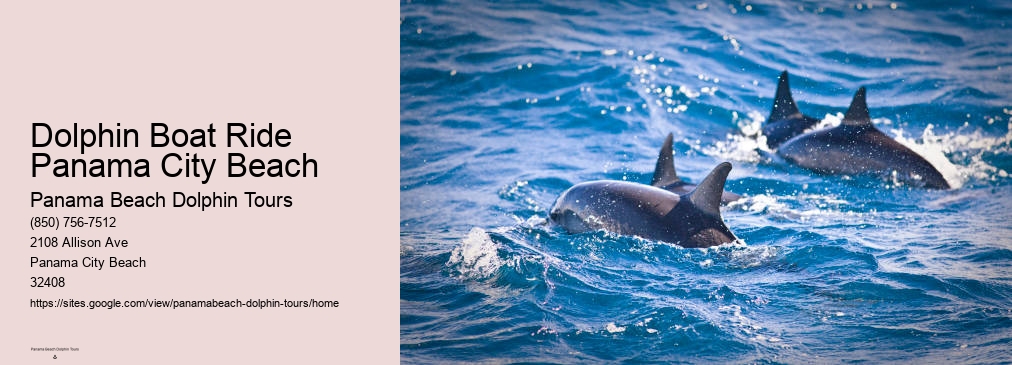 Panama City Beach Dolphin Tours