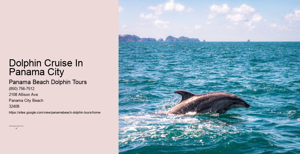 Panama City Dolphin Cruise