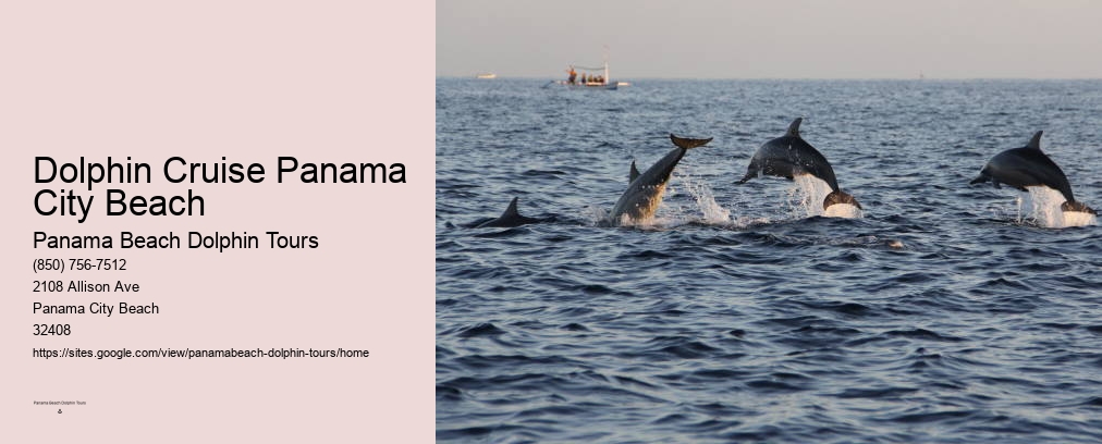 Dolphin Cruises Pcb