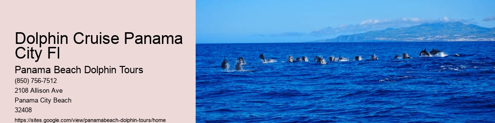 Panama City Dolphin Tours