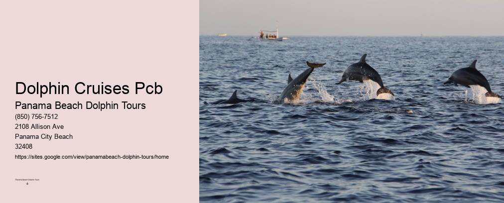Dolphin Cruises Pcb