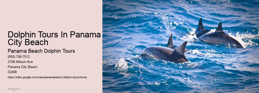Panama City Beach Dolphin Tours