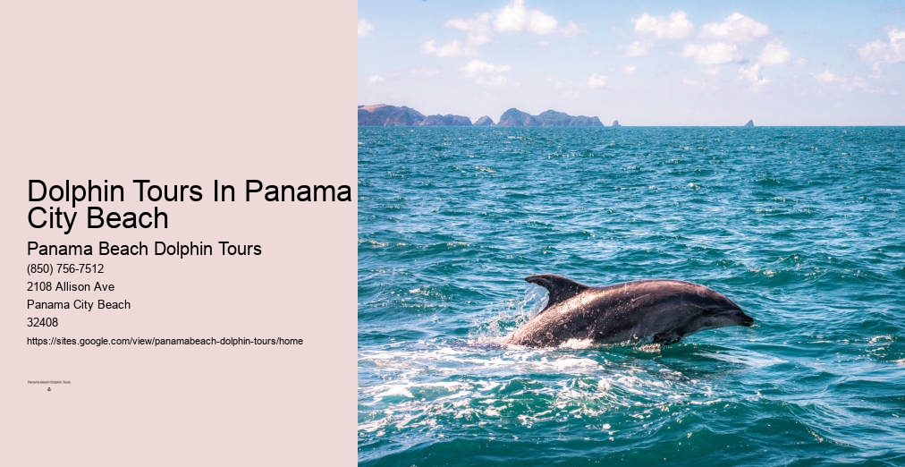 Panama City Dolphin Cruise
