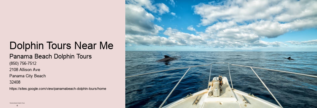 Panama City Beach Dolphin Tours