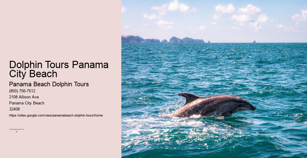 Panama City Beach Florida Dolphin Tours