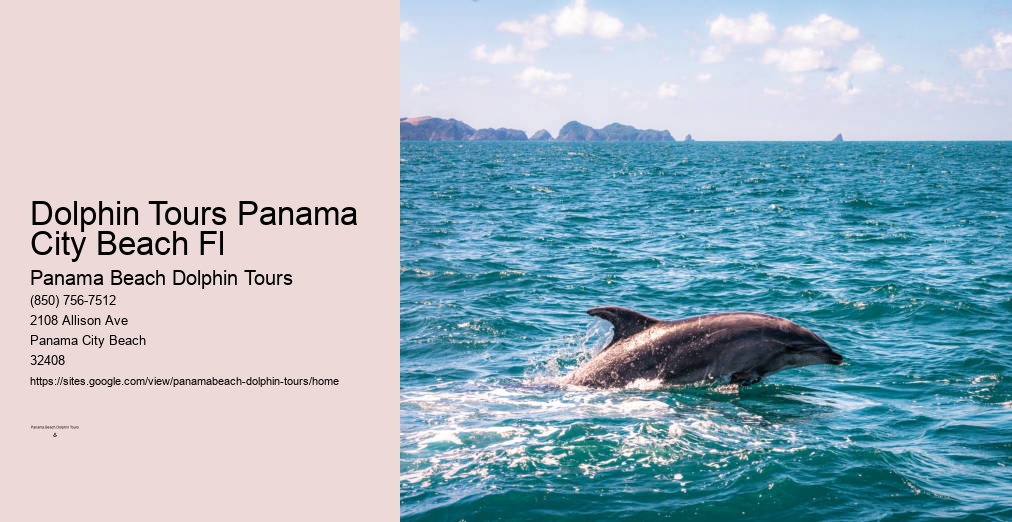 Panama City Dolphin Cruise