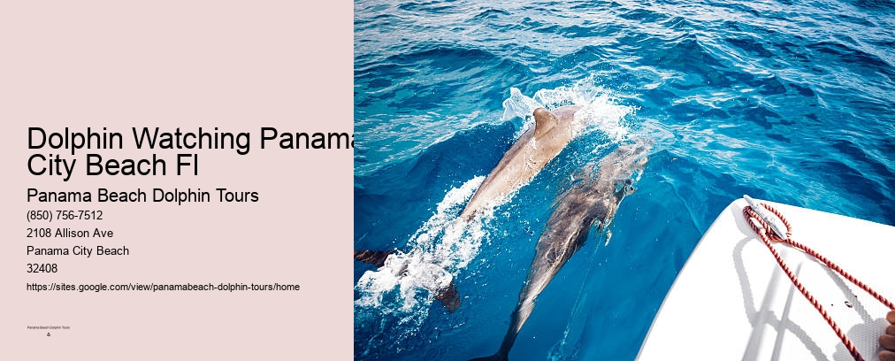 Panama City Beach Dolphin Tours