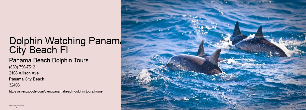 Panama City Dolphin Cruise