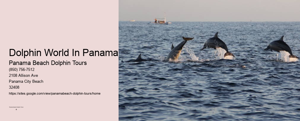 Dolphin World In Panama