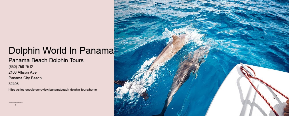 Panama City Beach Dolphin Tours