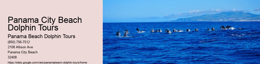 Dolphin World In Panama