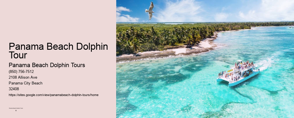 Dolphin Cruises Pcb
