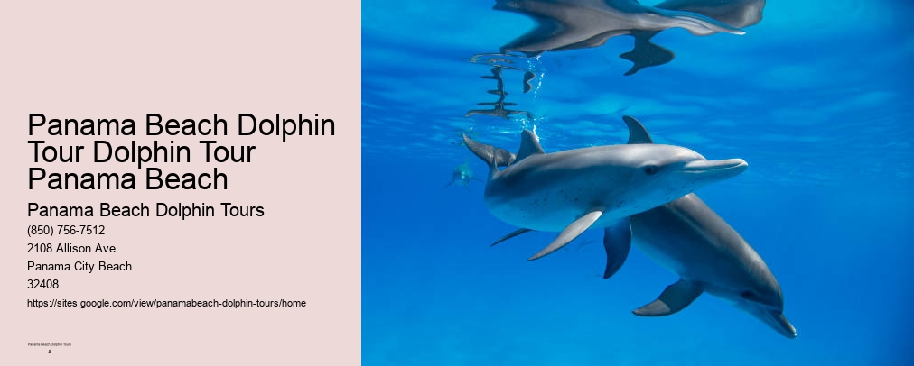 Panama City Beach Florida Dolphin Tours
