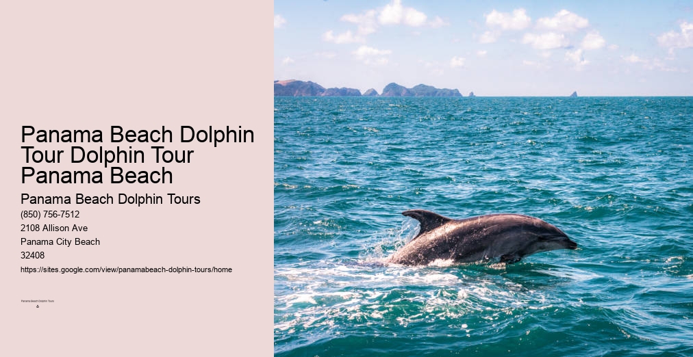 Dolphin Tours Pcb