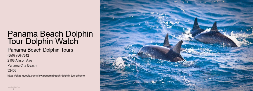 Panama City Beach Dolphin Tours