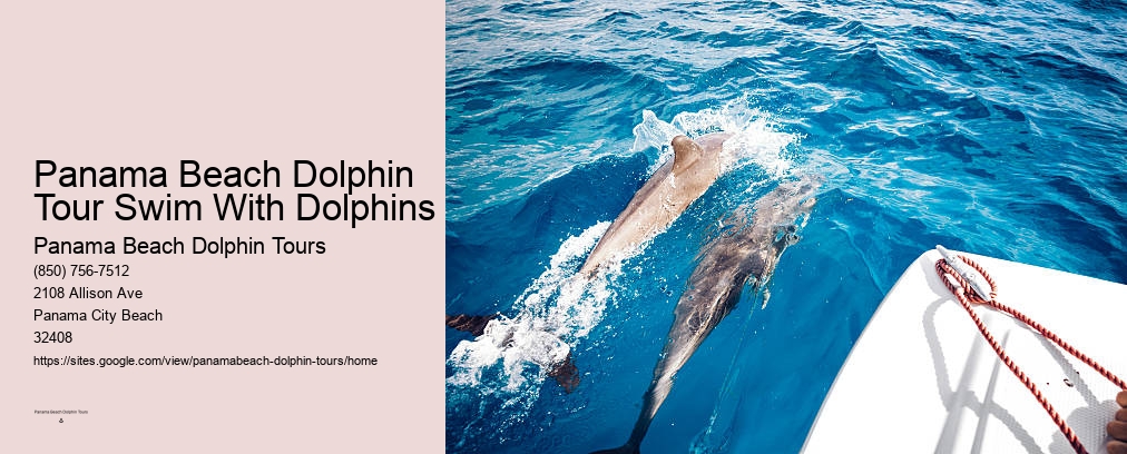 Dolphin Cruise Panama City Florida