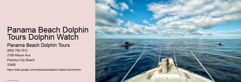 Dolphin Tours Panama City
