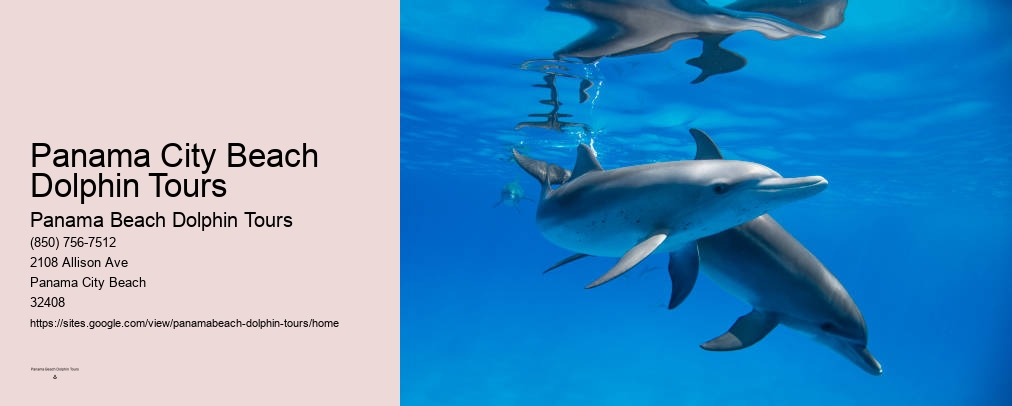 Panama City Dolphin Tours