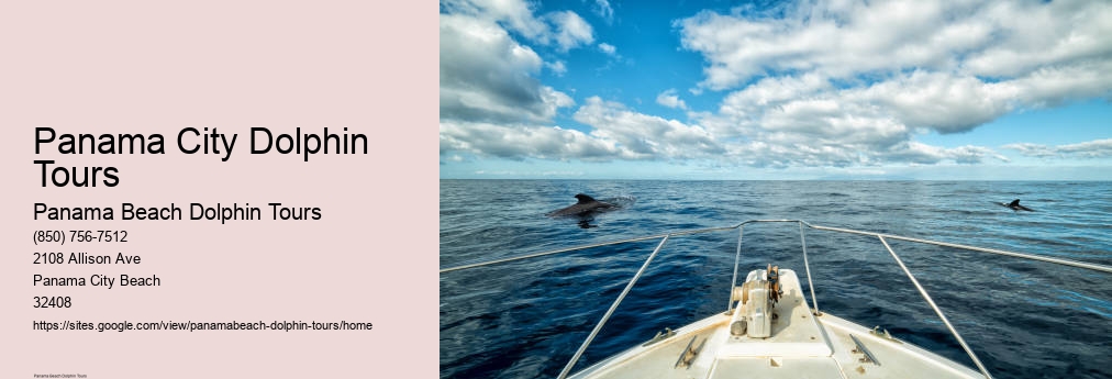 Dolphin Tours Panama City