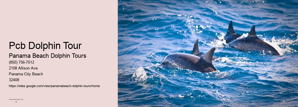 Dolphin Tours Pcb