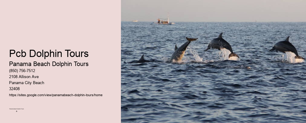 Pcb Dolphin Tours