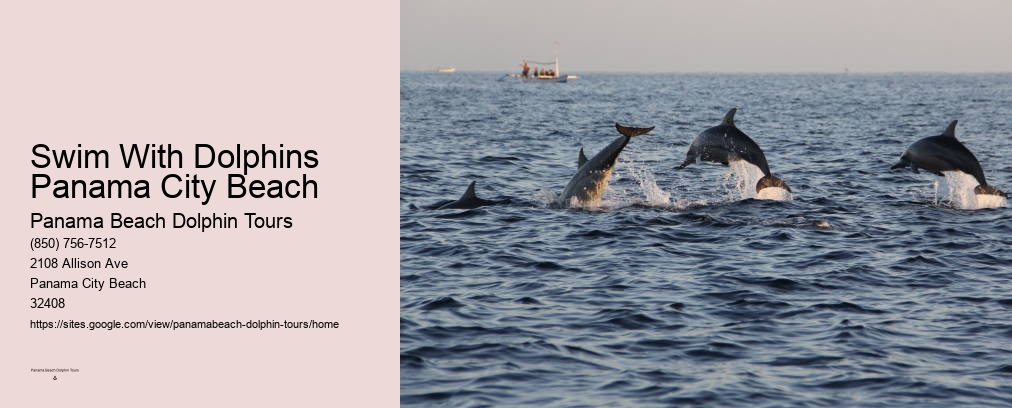 Swim With Dolphins Panama City Beach