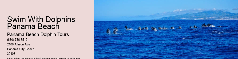 Panama City Beach Florida Dolphin Tours