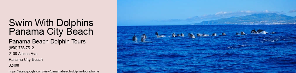 Dolphin Tours Panama City