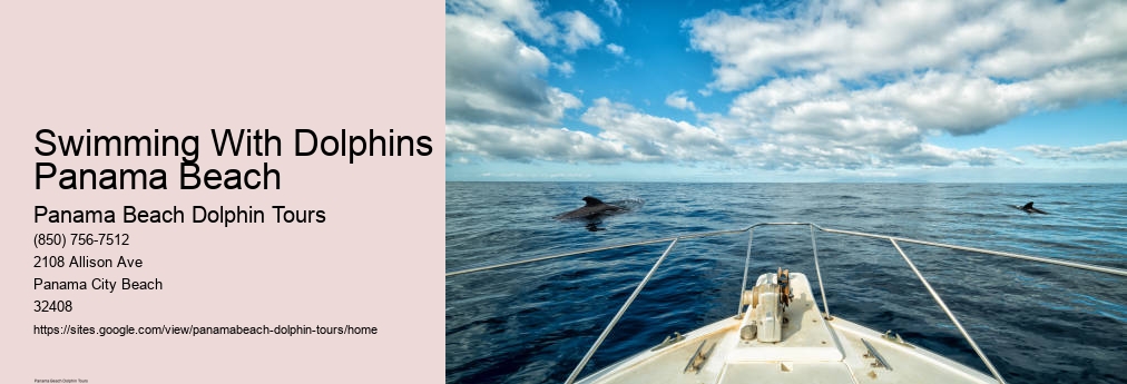 Panama Beach Dolphin Tour Dolphin Watch